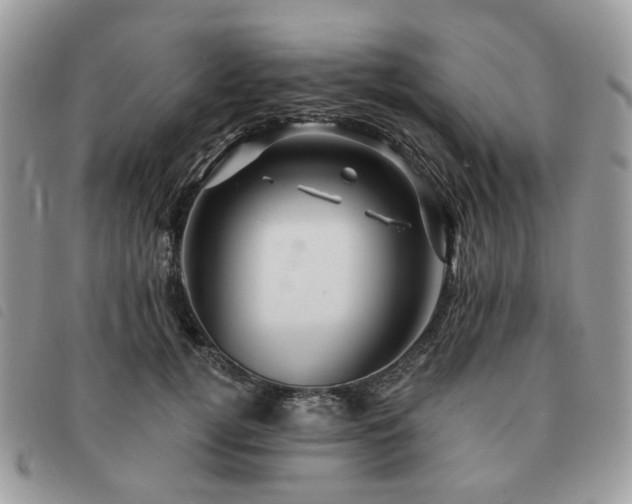 X0000091310752200708171415