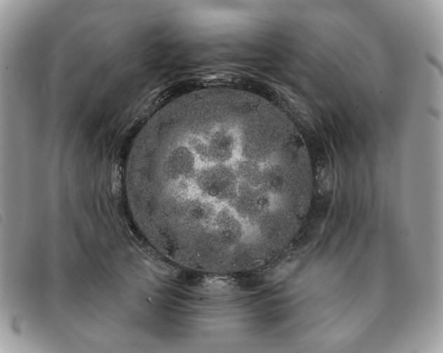 X0000091310753200708171415