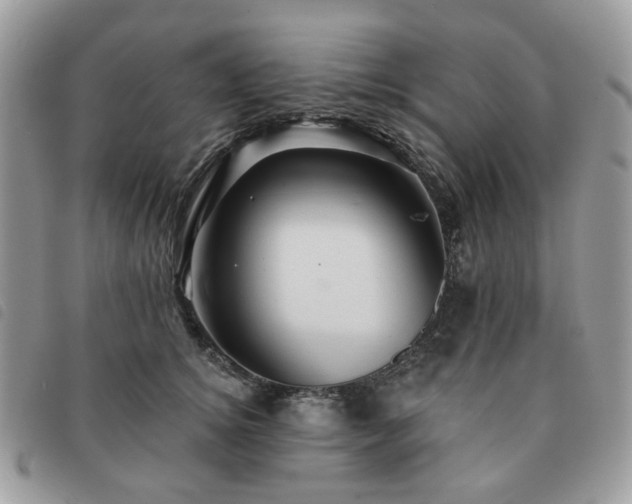 X0000091310756200708171415