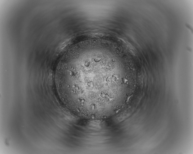 X0000091310757200708171415