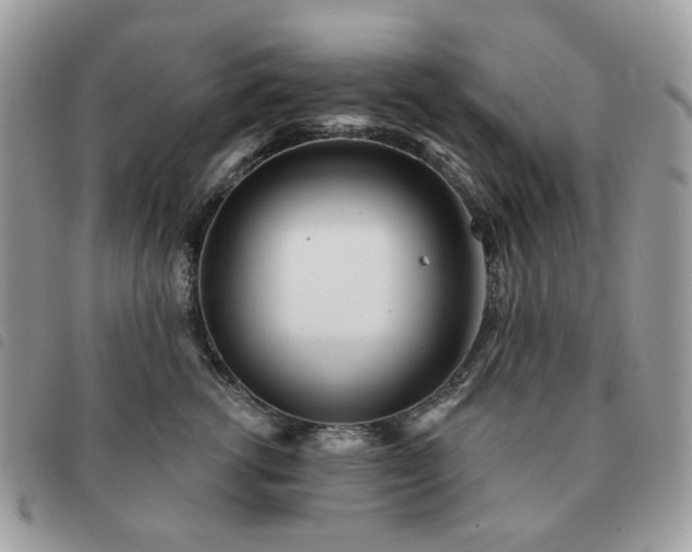 X0000091310762200708171415