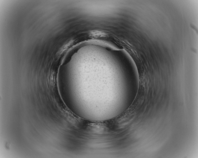 X0000091310763200708171415