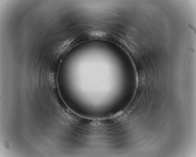 X0000091310764200708171415