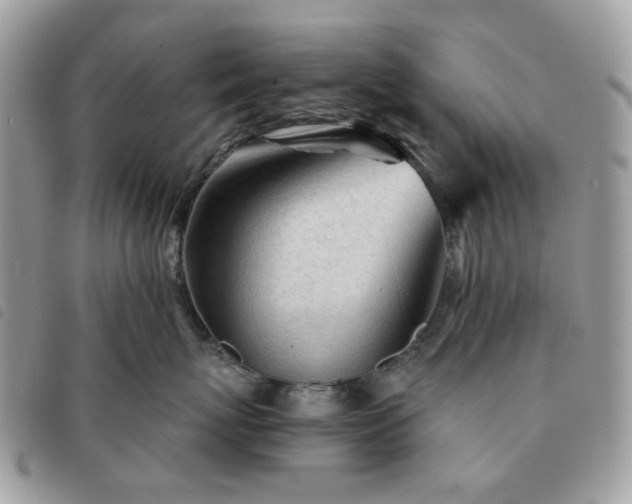 X0000091310767200708171415