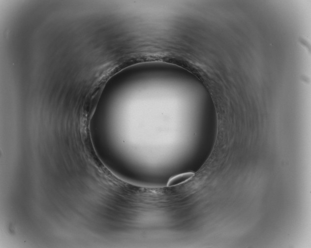 X0000091310768200708171415