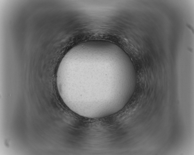 X0000091310769200708171415