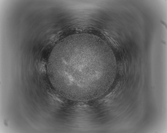 X0000091310770200708171415