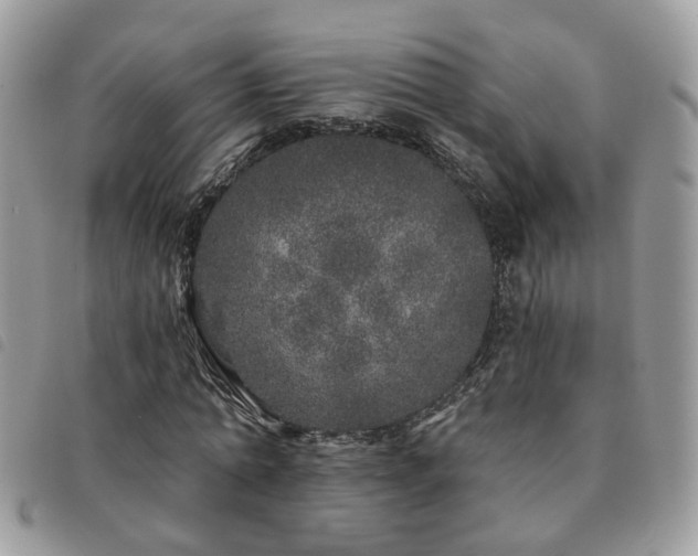 X0000091310774200708171415