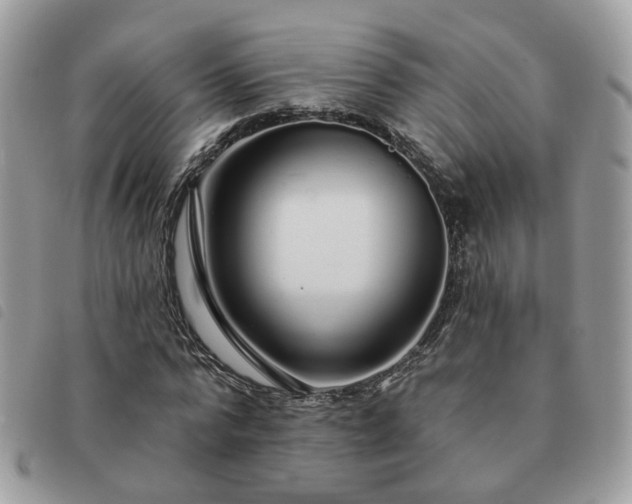 X0000091310776200708171414