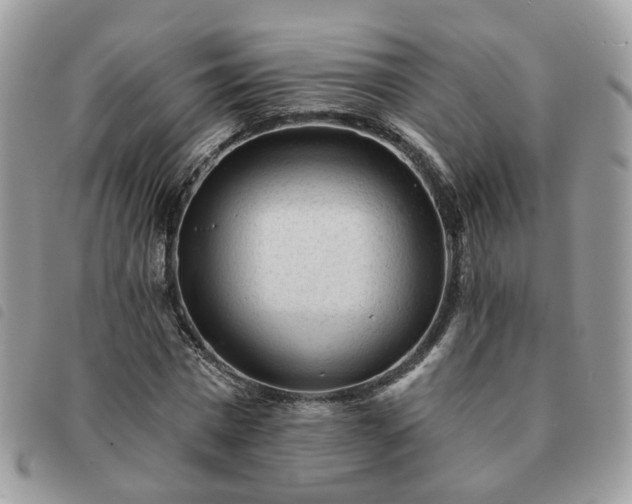 X0000091310777200708171414