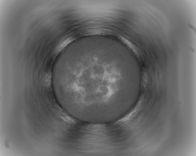 X0000091310778200708171414