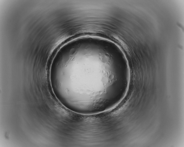 X0000091310779200708171414