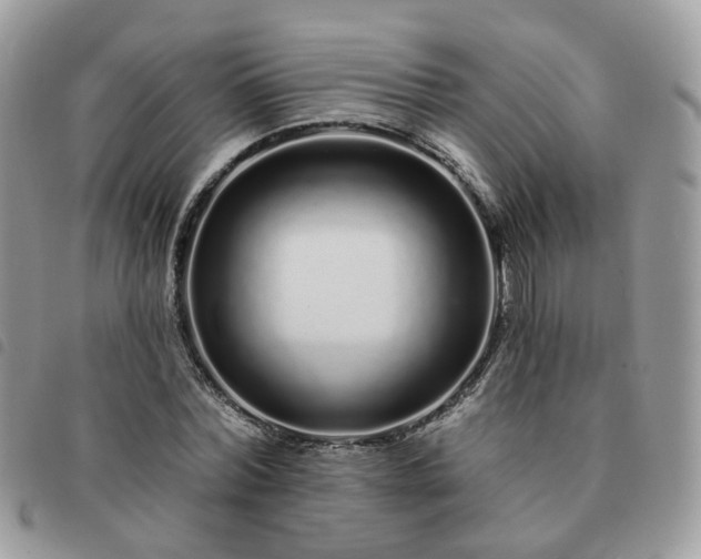 X0000091310780200708171414