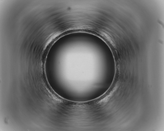 X0000091310781200708171414