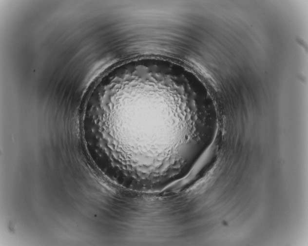 X0000091310782200708171414