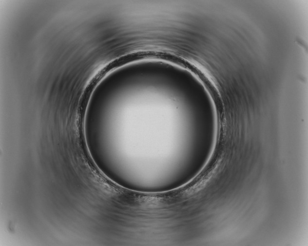 X0000091310783200708171414