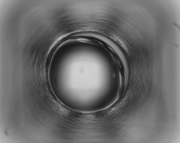 X0000091310784200708171414