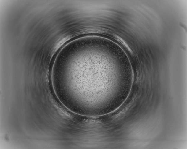 X0000091310786200708171414