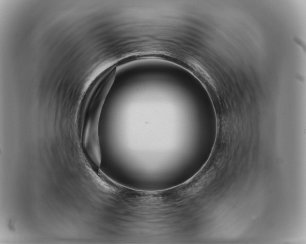 X0000091310789200708171414