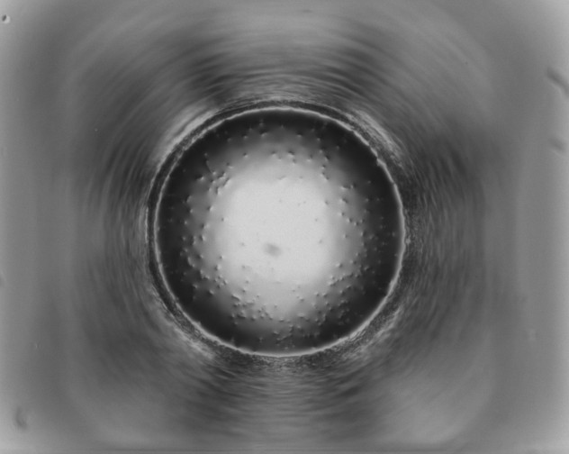 X0000091310790200708171414