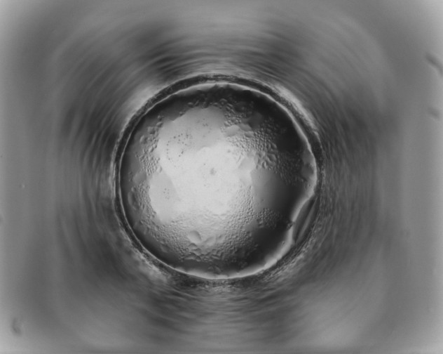 X0000091310791200708171414