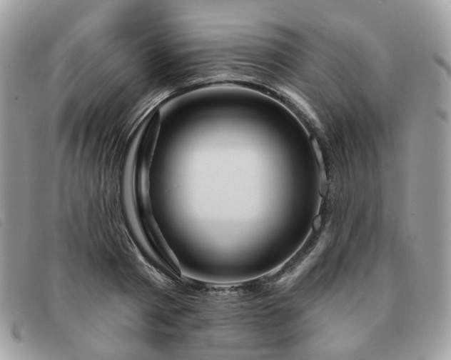 X0000091310793200708171414