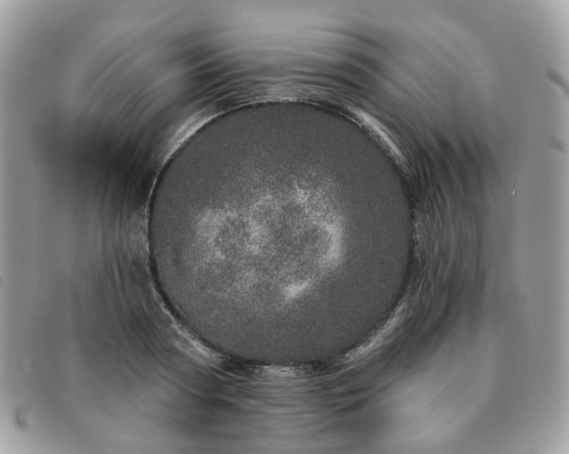 X0000091310794200708171414