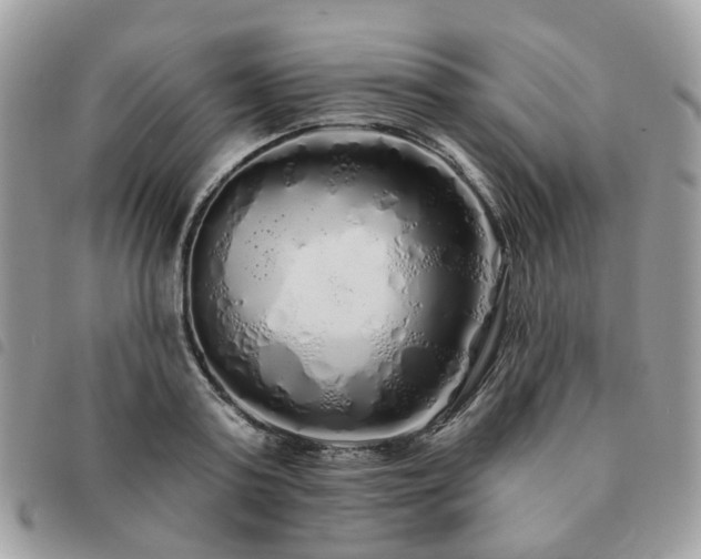 X0000091310795200708171414