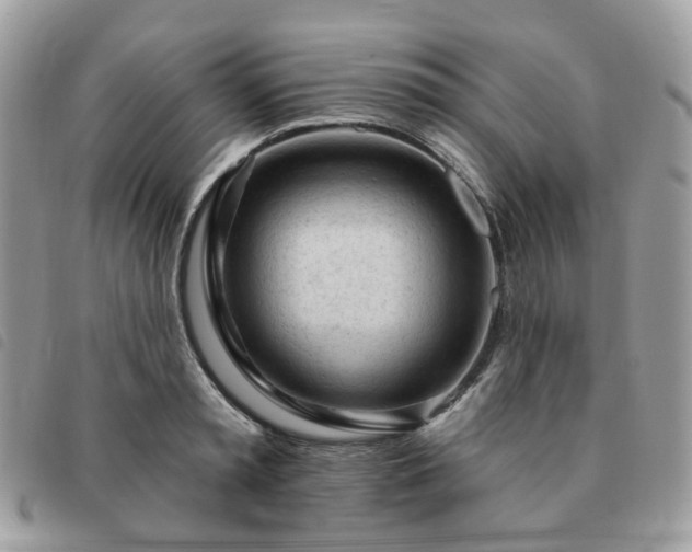 X0000091310797200708171414