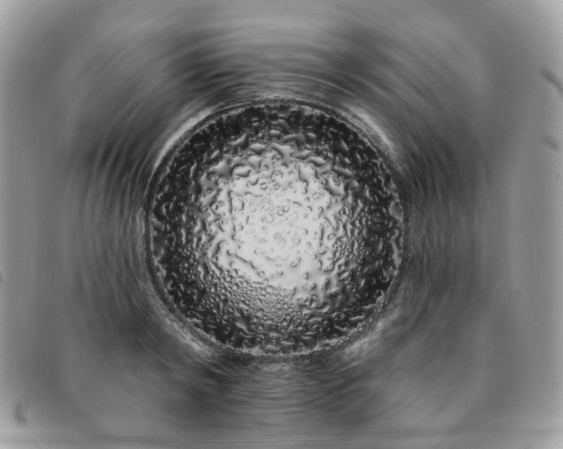 X0000091310798200708171414