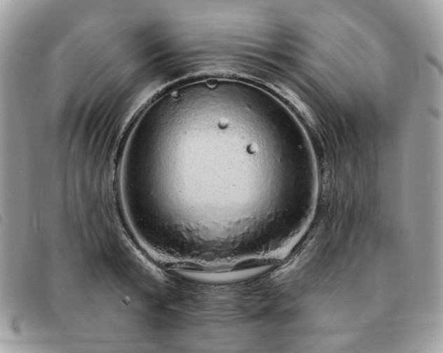 X0000091310799200708171414