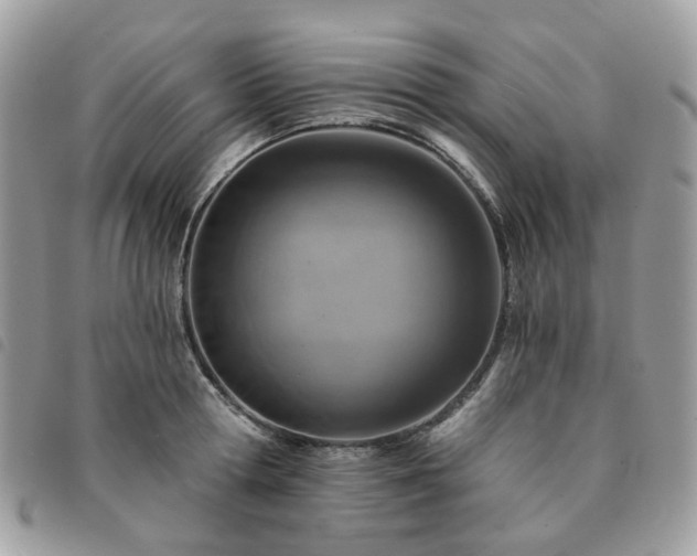 X0000091310802200708171414