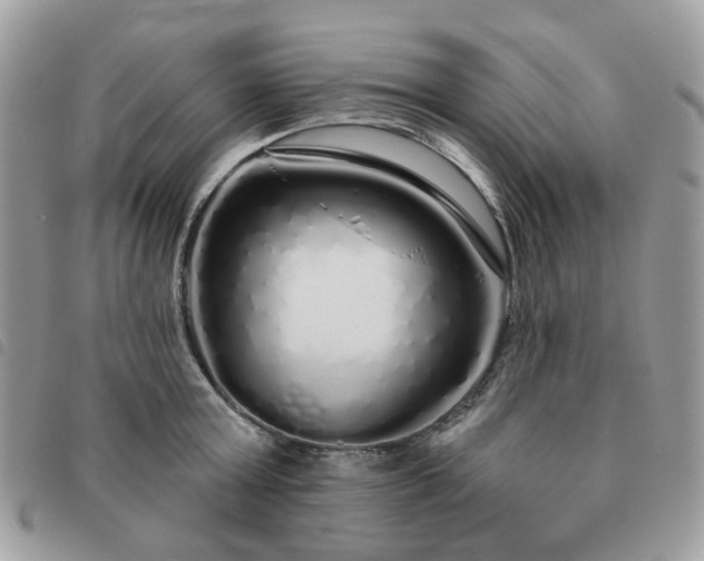 X0000091310803200708171414