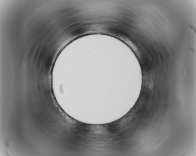 X0000091310807200708171414