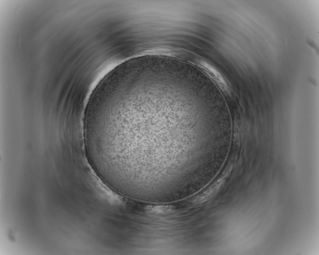 X0000091310808200708171414