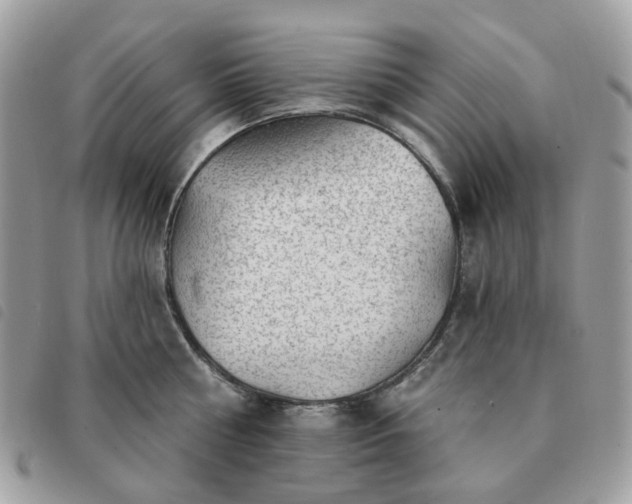 X0000091310810200708171414