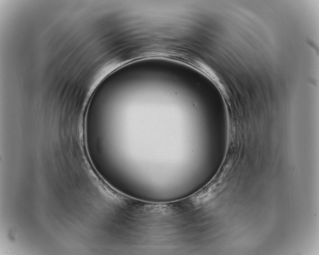 X0000091310811200708171414