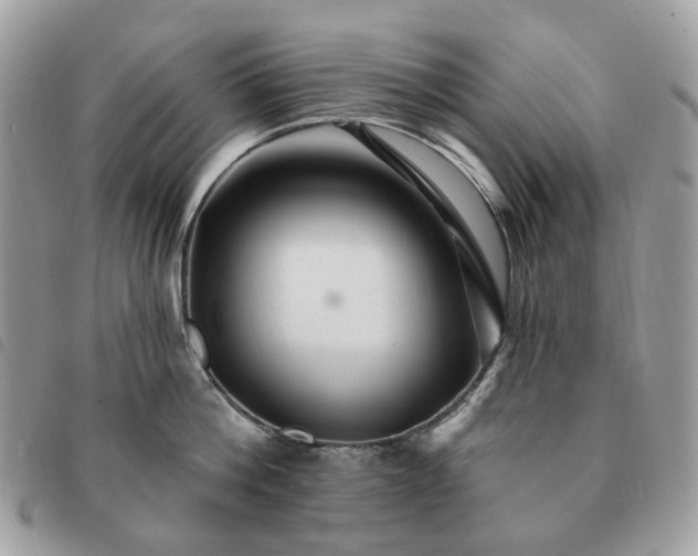 X0000091310812200708171414