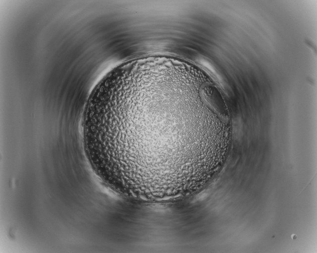 X0000091310814200708171414