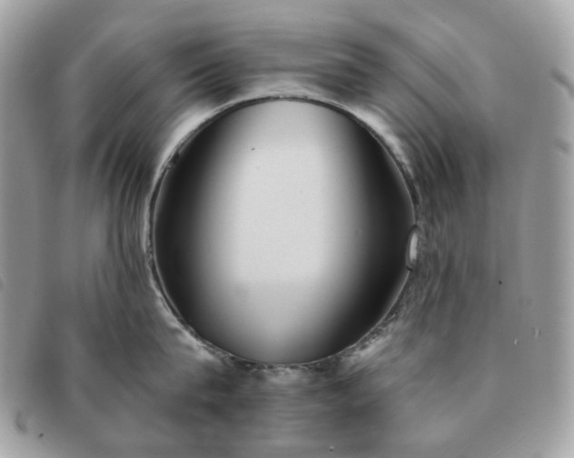 X0000091310815200708171414