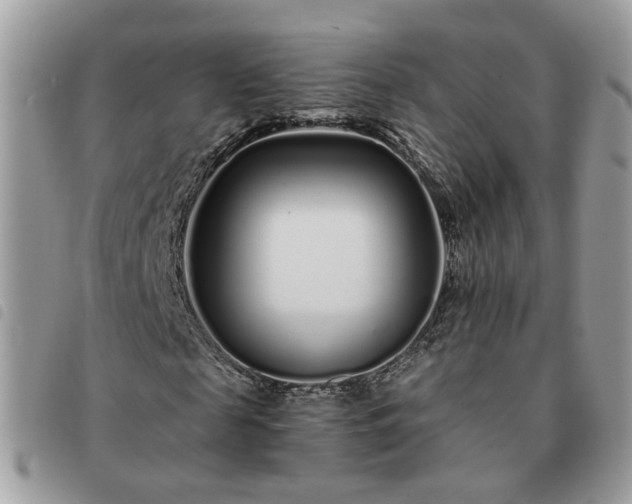 X0000091310817200708171413