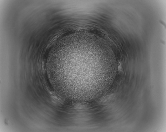 X0000091310819200708171413