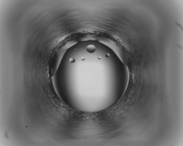 X0000091310822200708171413