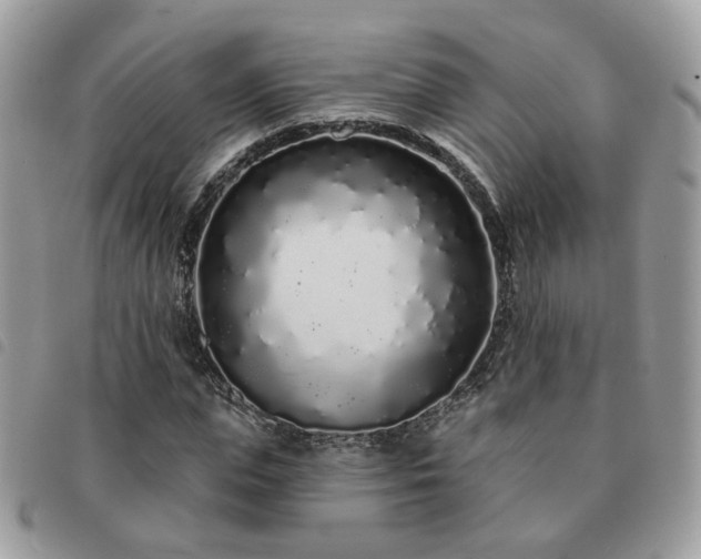 X0000091310823200708171413