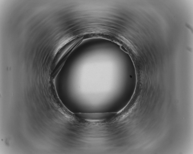 X0000091310826200708171413