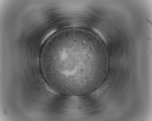 X0000091310827200708171413