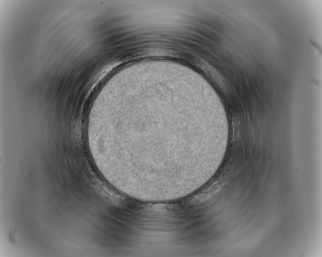 X0000091310828200708171413