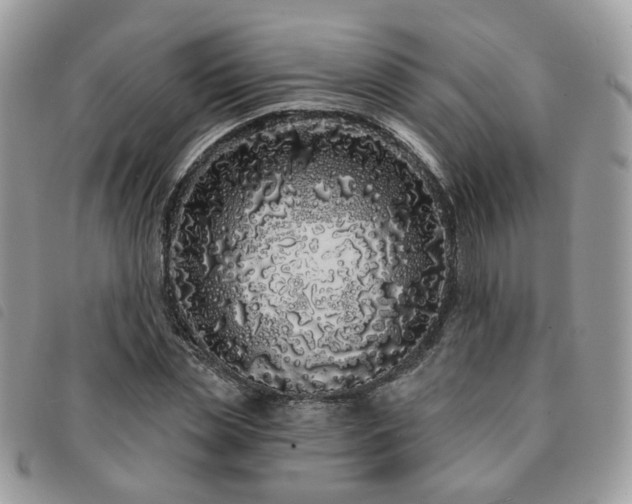 X0000091310829200708171413