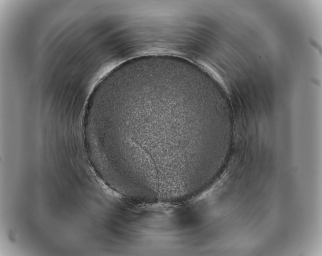 X0000091310831200708171413