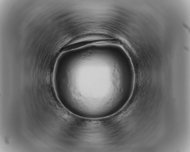 X0000091310833200708171413